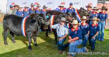 Calrossy Anglican School elated after carcase success at Sydney Royal Show