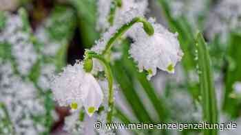 Sind das schon die Eisheiligen? Experten mit Frost-Prognose für Mai
