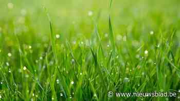 Lokaal bestuur neemt opnieuw deel aan ‘Maai mij niet’