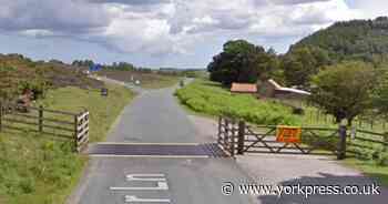 Firefighters rescue horse caught in cattle grid on North York Moors