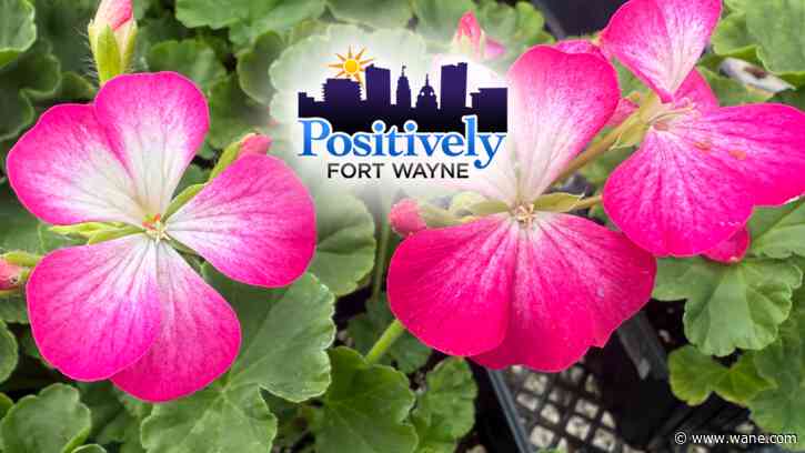 Botanical Conservatory's 'Herb Lady' is Positively Fort Wayne