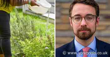 'They blame the weather, but it's decades of underinvestment and poor planning'