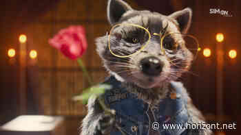 Vodafone-Marke: Waschbär Simon ist für SIMon Mobile wieder im Werbe-Einsatz