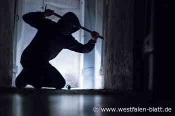Einbrecher in Höxters Nachbarschaft