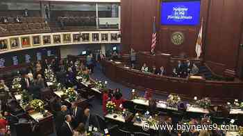 Real ID deadline arrives, residents want to save 'character' of St. Pete Beach and lawmakers will return to hammer out budget