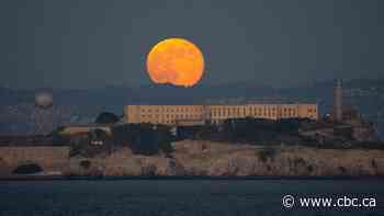 Trump wants to reopen infamous Alcatraz prison for 'vicious' criminals