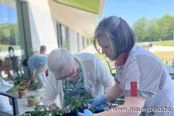 Dit woonzorgcentrum is één van zes nieuwe Oost-Vlaamse Tubbe-huizen: “Bewoners voelen zich gelukkiger en vooral nuttiger in onze aanpak”