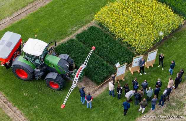 Landwirtschaft am Limit: Zwischen Klimawandel und Schädlingsdruck