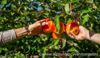 Geen toeristenbelasting voor gratis verblijf arbeidsmigranten