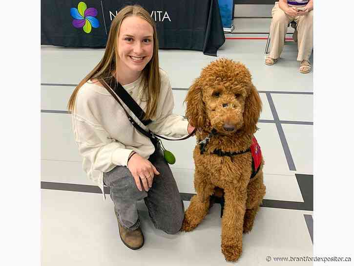 'We wouldn't exist without volunteers': Brantford event connects organizations with those who want to donate their time