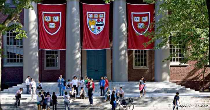 Harvard Ends Funding For Black Graduation & Other Affinity Groups