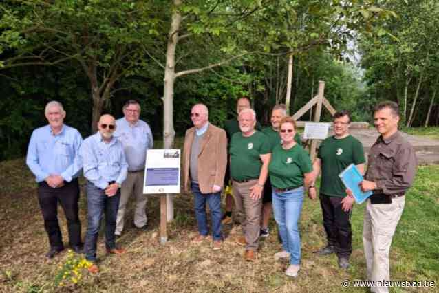 Praalgraf van Staf De Clercq op Kesterheide kreeg duidend infobord: “Dit graf is een getuigenis van een stuk bewogen geschiedenis in de regio”