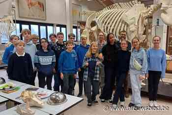 Sint-Franciscusinstituut daagt cognitief sterke leerlingen uit met Spaans bad