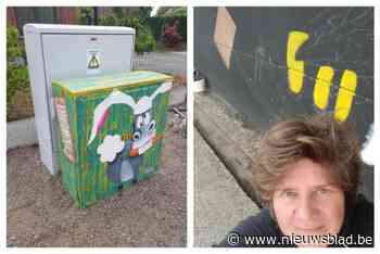 Nog voor opening kunstproject verdwijnt beschilderde nutskast... omhulsel wel gered