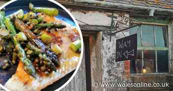 Welsh restaurant in a former cowshed that's barely findable on a map got a rave review from The Times' food critic