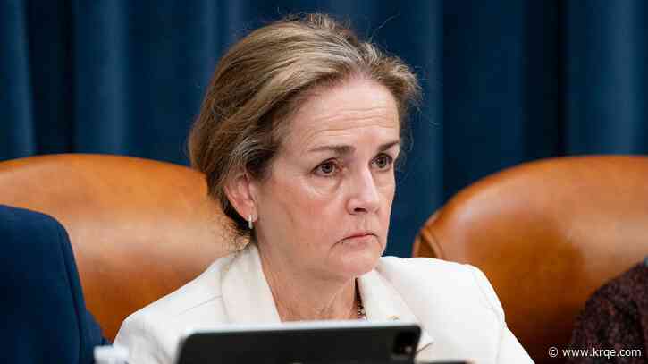 Pennsylvania Dem: 'It seems like we’re in a trade war with ourselves'