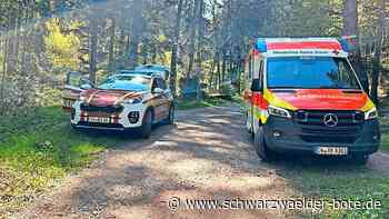 Notfall in Bad Liebenzell: Wanderer verletzt sich schwer in der Monbachschlucht