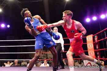 Jongens en meisjes van Boxing Club Temse gaan de strijd aan tegen boksers uit heel Vlaanderen