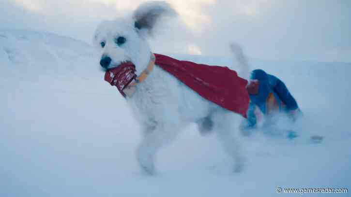 James Gunn's dog has a wild reaction to seeing himself as Superman's Krypto: "Every time he sees himself come on screen, he tries to murder himself"