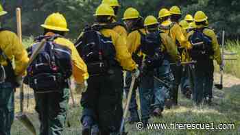Trump's 2026 budget proposes consolidating federal wildfire roles into single agency