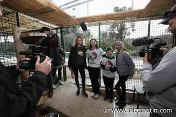 Après l'arrêt de C8, l'émission "Animaux à adopter" rebondit sur TMC