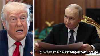 Für ein Ende des Ukraine-Kriegs: Kreml-Sprecher deutet mögliches Treffen von Putin und Trump an