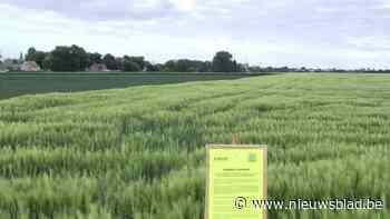 Fruitbedrijf plant groots nieuwbouwproject met verblijf voor seizoensarbeiders