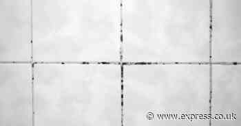 Mould will vanish from shower grout in 15 minutes if 3-ingredient paste is applied to it