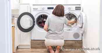 Washing machines have 'new lease of life' when cleaned with 2 ingredients — no scrubbing