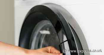 Surprising item you should avoid putting in the washing machine — or risk damage