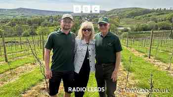 The Meltham family running a Yorkshire vineyard