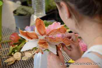 Les sélections départementales et régionales des Meilleurs apprentis de France ont livré leur verdict à Cannes