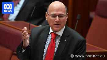 Live: Arthur Sinodinos says Coalition's campaign looked 'ad hoc' and 'reactive'