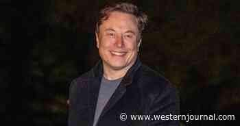 GOP Senate Poised to Make Elon Musk's Dream Come True as Dems Face Financial Carnage