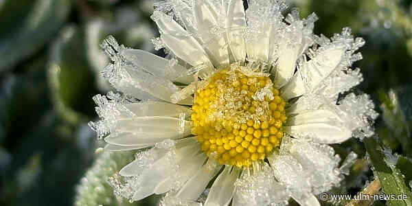 Was ist dran an den Eisheiligen? Frostgefahr noch nicht gebannt