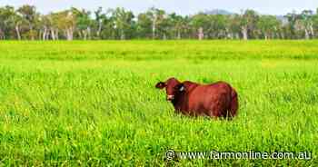 Farm sales rebound with land changing hands for $14.9 billion, record average
