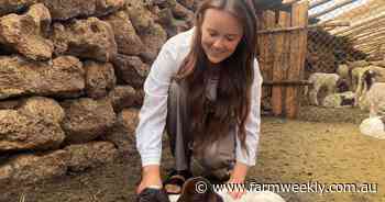 Morocco's vibrant culture and old traditions deeply rooted into agriculture