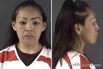 Cheyenne Woman Accused of Stealing Vehicle