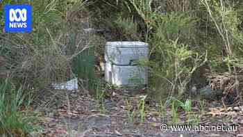 Illegal campers dump toilet alongside rubbish at holiday hotspot