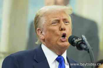 A Trump film tariff would send Canadian screen industry into 'chaos,' say local producers