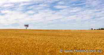 Mixed global market factors but Aussie winter crop expectations look steady
