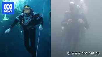 Calls for 'tough decisions' as drought threatens famously clear SA dive spots