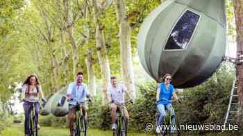 Vijfmaal fietsen door kunstwerken: deze Limburgse pareltjes wil geen enkele cultuurfan missen