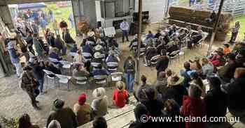 Northern Tablelands production impresses World Angus Forum participants