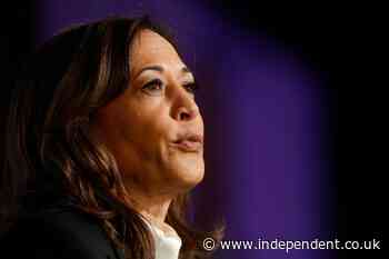 Kamala Harris and Doug Emhoff attend Met Gala but skip red carpet