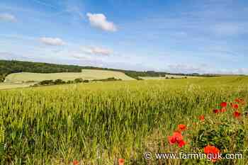 Nature-friendly farmers urge Higher Tier stewardship expansion