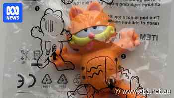 Button batteries in fast food toys a 'loaded gun' as Hungry Jack's fined