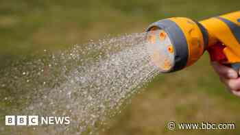 No hosepipe ban in 2025, says water firm
