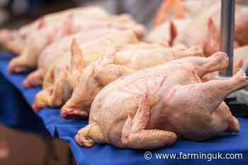 Labour pressed to clarify position on chlorinated chicken in US trade talks