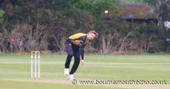 Bournemouth make flying start to campaign with dominant win over Basingstoke